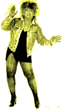 Ron B as Tina Turner